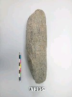 藏品(石杵)的圖片